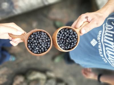 Berry picking excursion in Liesjärvi National Park starting from central Helsinki