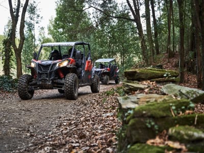 Excursión en buggy desde Oporto a las ruinas de Castro Mozinho y Quintandona