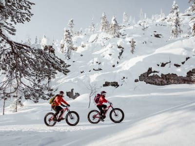 Visite de la mine d'améthyste en Fatbike électrique depuis Luosto