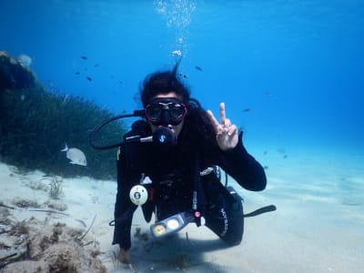 Cours PADI Open Water Diver à Paradise Beach à Mykonos