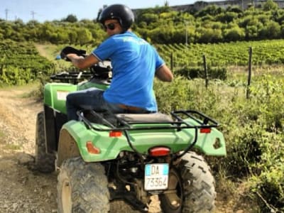 Excursión en quad y cata de vinos en la Toscana, Italia