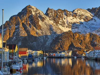 Geführte Wintertour auf den Lofoten ab Svolvær