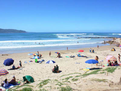 Apprendre à surfer à Knysna, Afrique du Sud