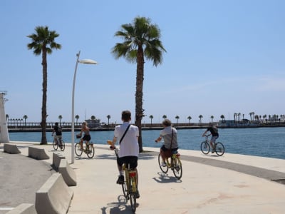 Geführte Fahrradtour durch die Stadt und den Strand von Alicante