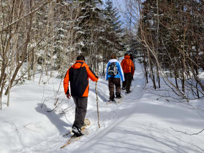 Snowshoes Rental at the Saguenay Fjord, near Tadoussac