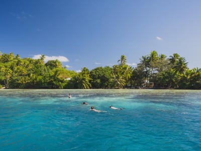 Excursion safari snorkeling dans le lagon de Bora Bora