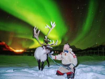 Alimentación de renos y auroras boreales desde Tromsø