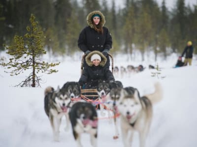 Visita a una granja de huskys y trineo tirado por perros desde Rovaniemi