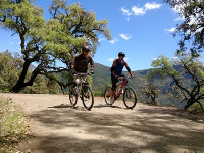 Excursion en VTT dans la Sierra de las Nieves, près de Marbella