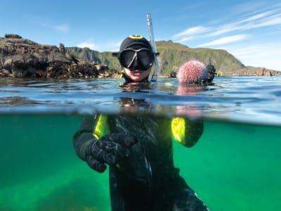 Snorkel en el Ártico en las Islas Lofoten desde Ballstad