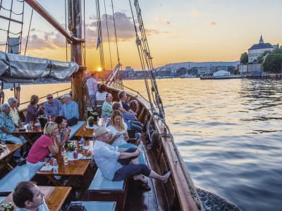 Croisière touristique dans les fjords au départ d'Oslo, Norvège