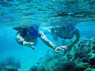 Snorkeling à Sharks Cove depuis Kailua, O'ahu