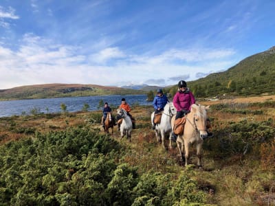 Full-day Horseback Riding Tour in Skammestein towards Olestølen 