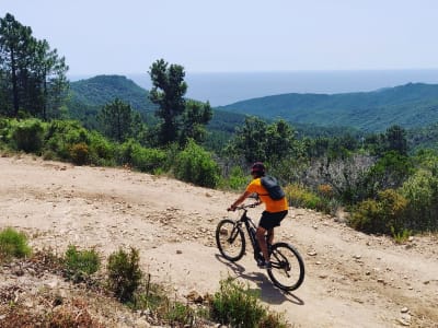 Electric mountain bike rental to Ventiseri, from Solaro