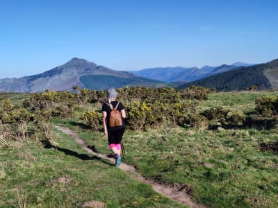 Guided Hike in the Basque Country near Saint-Jean-de-Luz