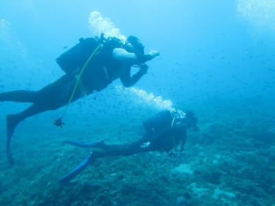 Adventure Dives for Certified Divers in Alexandroupoli, Eastern Greece