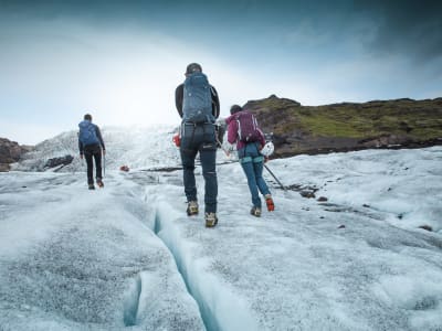 Falljökull-Gletscherwanderung für Anfänger im Vatnajökull-Nationalpark ab Skaftafell