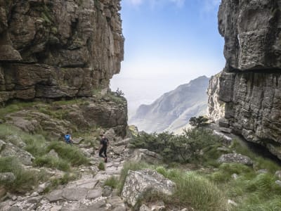 Randonnée guidée au sommet de la montagne de la Table, Le Cap