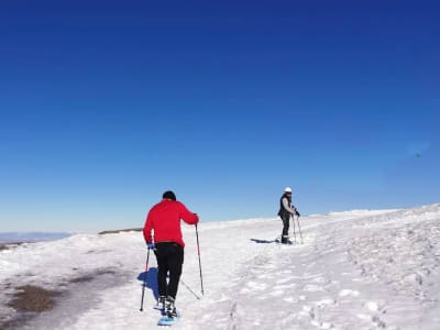 Excursión con raquetas de nieve al Pico Veleta en Sierra Nevada, Granada