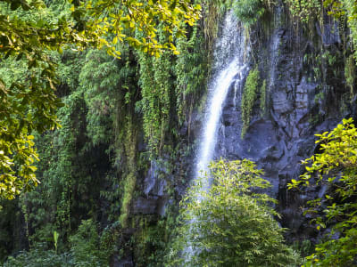 Excursion guidée en van de l’est de l’île de La Réunion