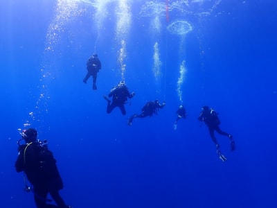 Formación de buceo de nivel 1 en Ajaccio