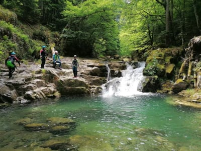 Schlucht im Ossau-Tal, Pyrenäen-Atlantik