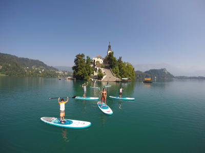 Circuit unique en Stand Up Paddle sur le lac de Bled, en Slovénie