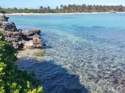 Excursión a las islas de Petite-Terre desde Saint-François, Guadalupe