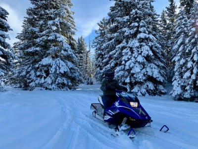 Einführung in das Motorschlittenfahren in Chamrousse, in der Nähe von Grenoble