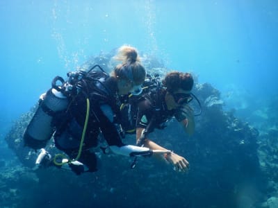 Grundausbildung zum Taucher im Cousteau-Reservat, Guadeloupe