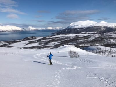 Excursion en raquettes et alimentation des rennes au départ de Tromsø