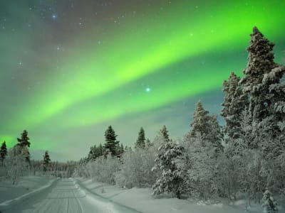 Caza de auroras boreales con barbacoa en minivan desde Levi