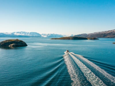 Excursion hivernale d'observation des baleines dans le fjord Alta