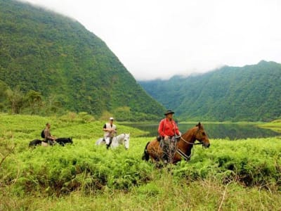 Randonnée à cheval au Grand-Etang, La Réunion