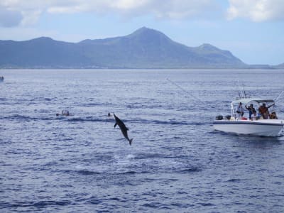 Whale watching and snorkeling with dolphins in Mauritius