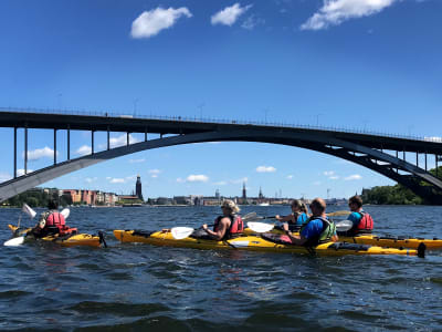 Excursión guiada en kayak por Estocolmo de un día o una tarde