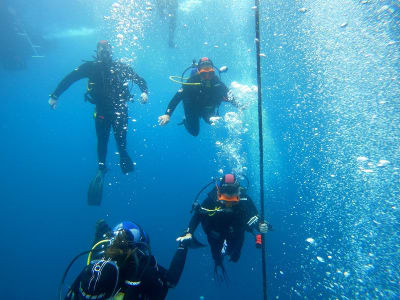 Exploration dives in Tarifa from the beach or by boat, Cádiz