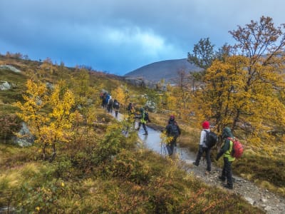 Excursion de randonnée d'automne avancée à Trolltunga depuis Tyssedal