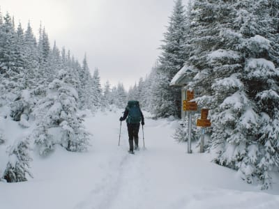 Alquiler de raquetas de nieve en el Parque Nacional de la Gaspésie, Québec