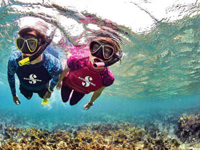 Salida de Snorkel en Barcelona, Parc del Fórum