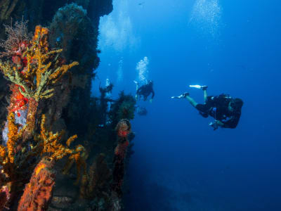 Open Water Diver training in the Cousteau Reserve, Guadeloupe