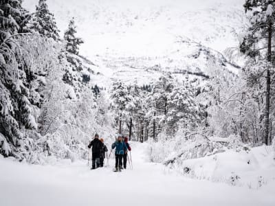 Randonnée guidée en raquettes et télécabine sur Voss