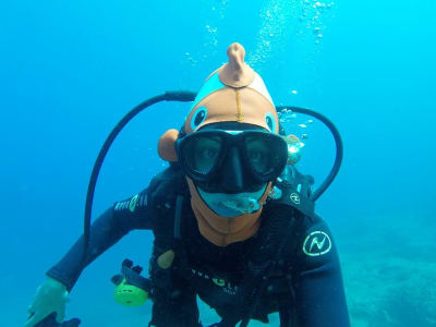 Descubre el buceo en Georgioupolis partiendo de Rethymno