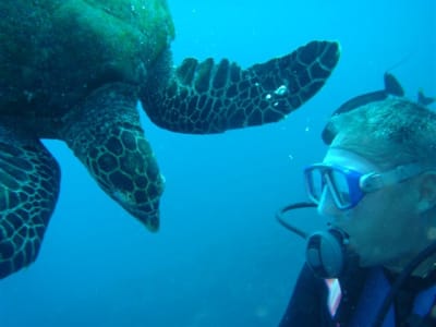 Guided adventure dives in Mo'orea