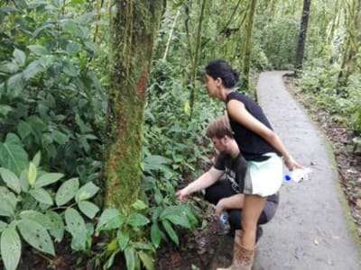 Randonnée dans le parc national du volcan Arenal