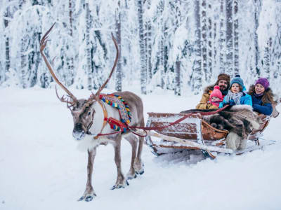 Besuch einer Rentierfarm und Schlittenfahrt in Rovaniemi