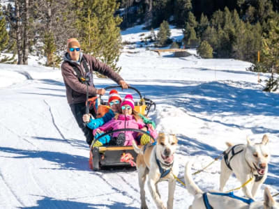 Paseo en Trineo de Perros desde Grau Roig, Grandvalira, Andorra