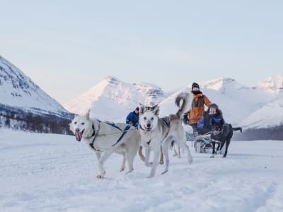 Excursión autoguiada intermedia en Trineo de perros desde Tromsø