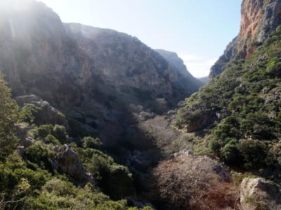 Randonnée dans la vallée des Vautours, à partir des gorges de Sirikari, près de Kissamos.