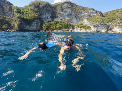 Excursión de Snorkel en Cap Cerbère